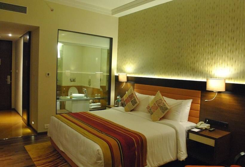 חדר דלוקס נוף לעיר, Balaji Sarovar Premiere