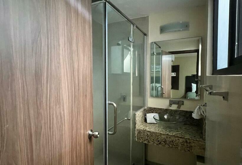 스탠다드 룸, Castropol