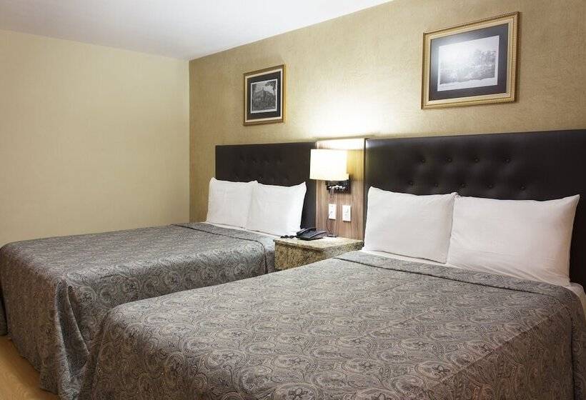 스탠다드 룸, Castropol