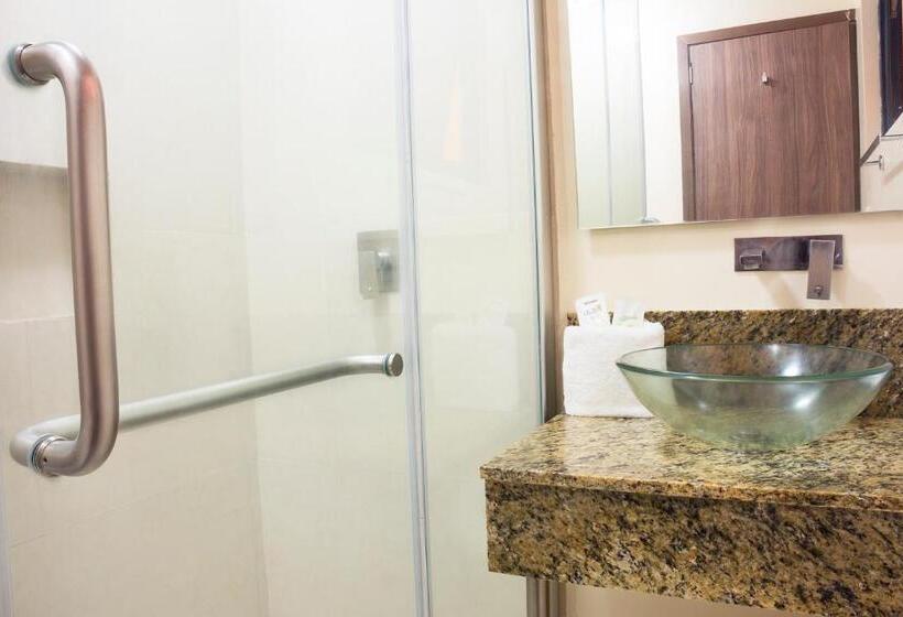 스탠다드 룸, Castropol