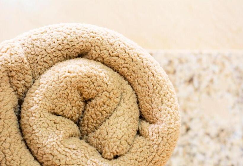 스탠다드 룸 더블 침대 2개, Castropol