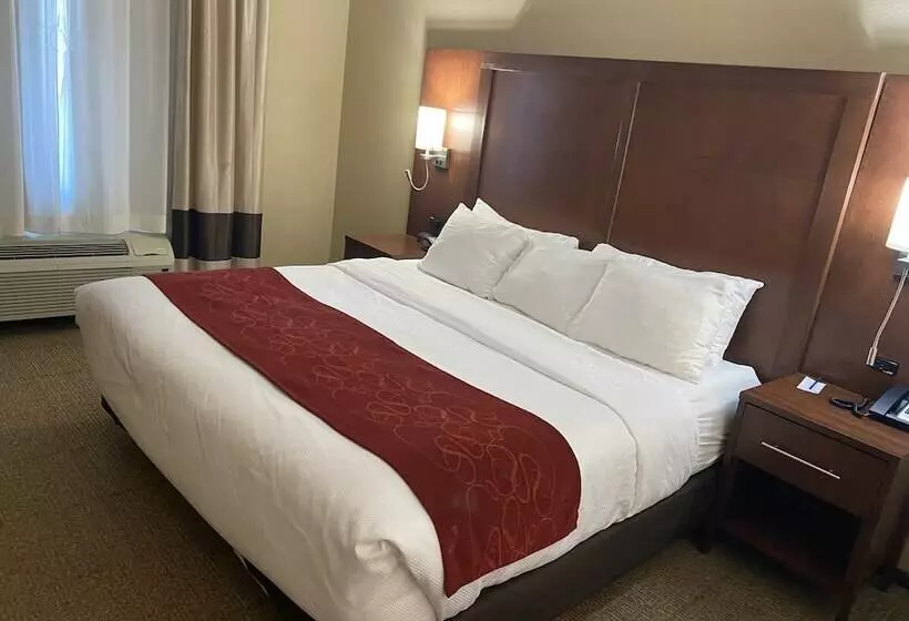 スイート, Comfort Suites West Omaha