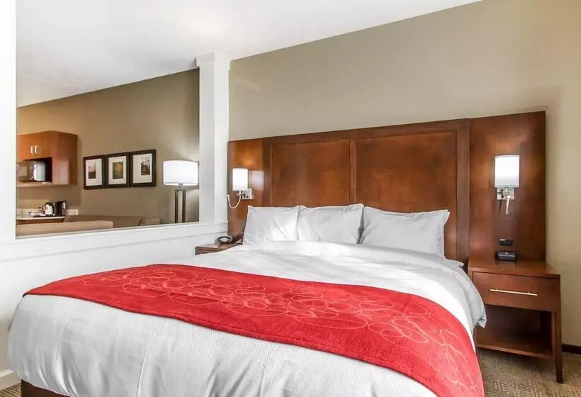 スイート, Comfort Suites West Omaha