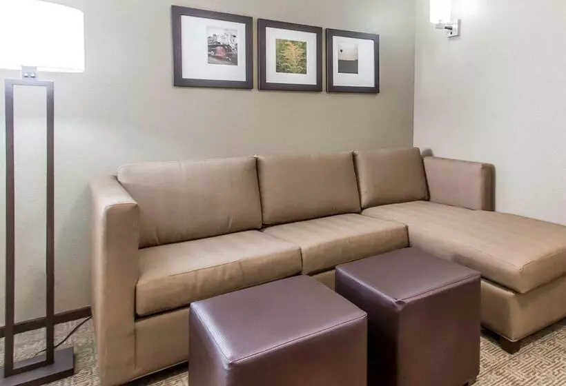 スイート, Comfort Suites West Omaha