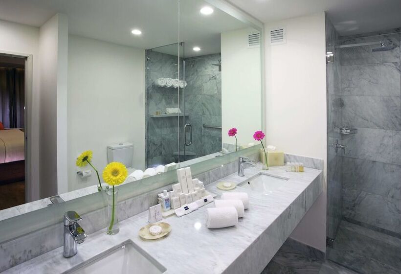 Номер Deluxe, Hs Hotsson Hotel Queretaro