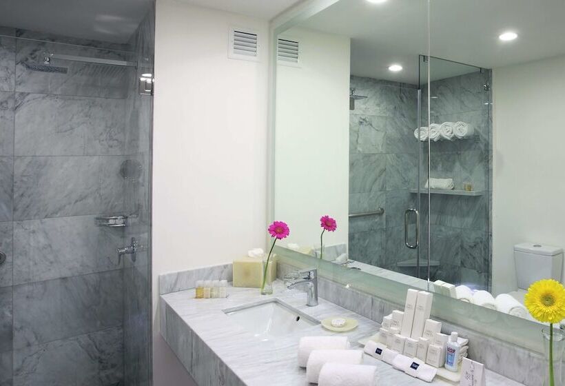 Номер Deluxe, Hs Hotsson Hotel Queretaro