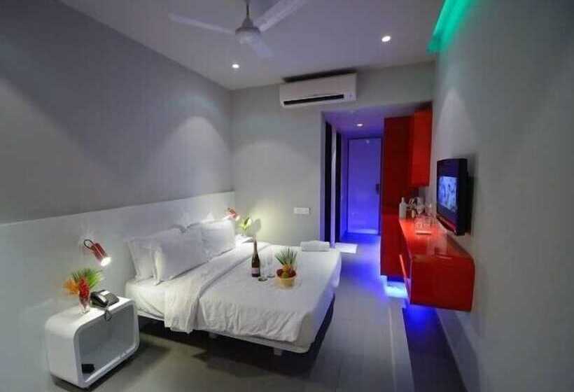 Quarto Estandar, Sinq Party