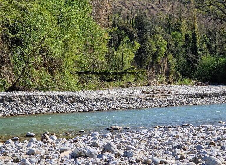 غرفة قياسية مزوَّدة بتراس, La Quercia Sul Lao Bed&breakfast