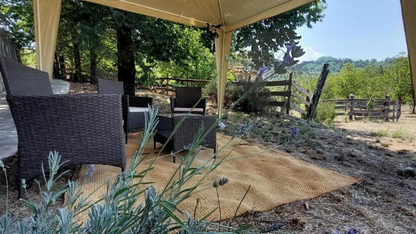 Номер Стандарт с Террасой, La Quercia Sul Lao Bed&breakfast