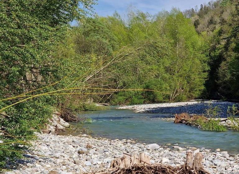 غرفة قياسية, La Quercia Sul Lao Bed&breakfast