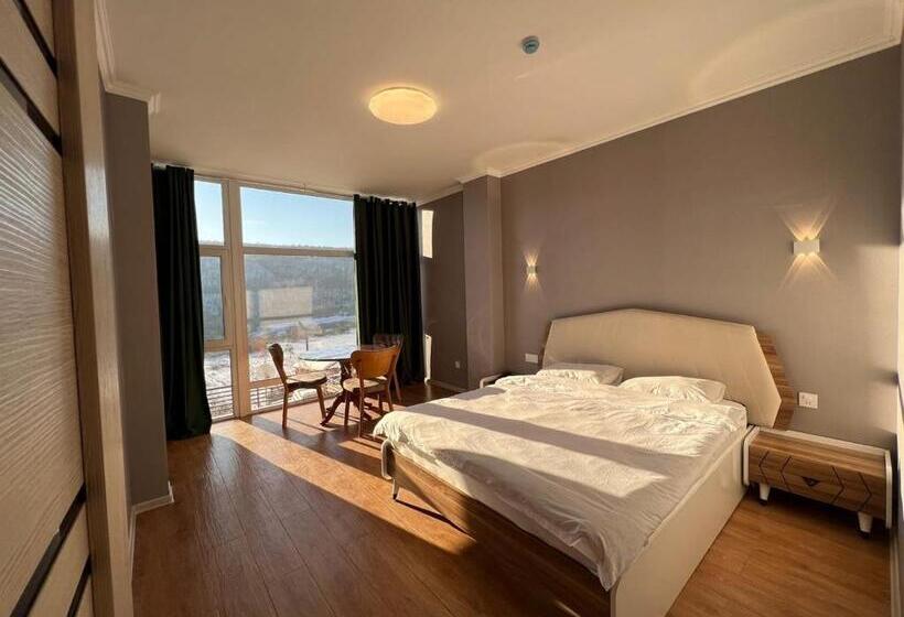 خانه 1 خوابه, Ahval