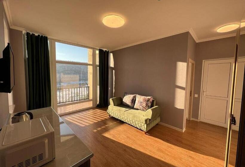 خانه 1 خوابه, Ahval