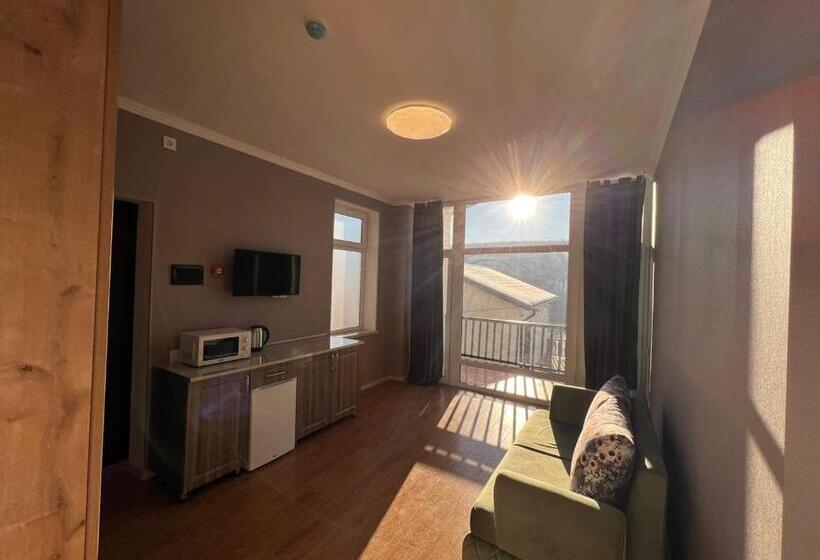 خانه 1 خوابه, Ahval