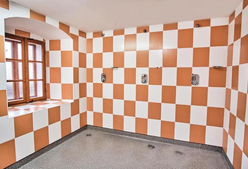 스탠다드 4인용 룸 공용 욕실, Strnadovský Mlýn