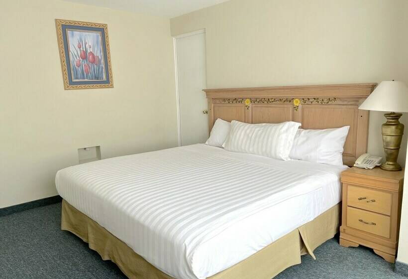 スタンダードルーム, Biohotel Metepec