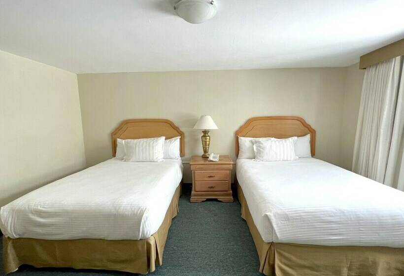 Номер Стандарт 2 Двуспальные Кровати, Biohotel Metepec