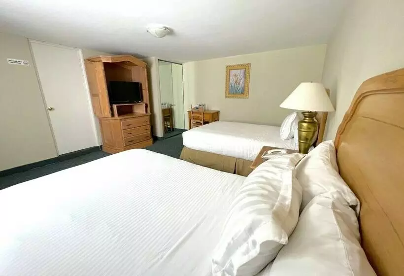 Standardzimmer 2 Doppelbetten, Biohotel Metepec