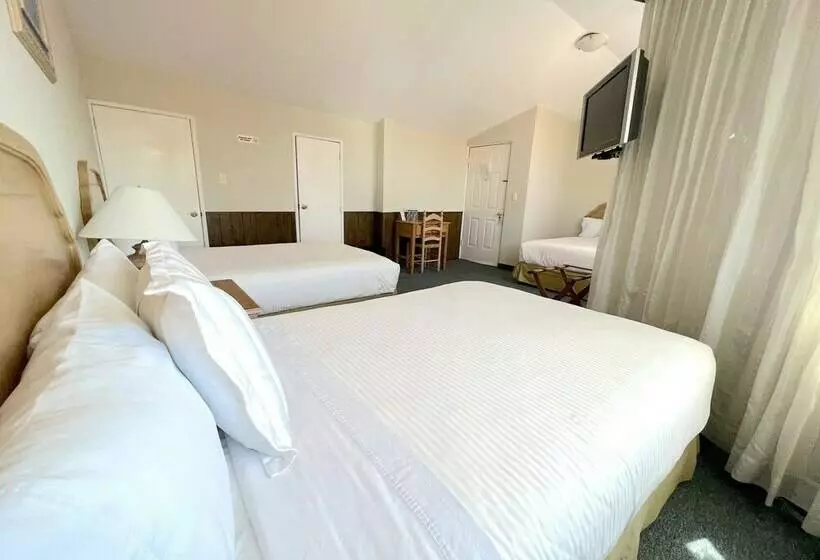 3-Bett-Standardzimmer, Biohotel Metepec