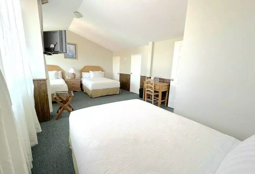 3-Bett-Standardzimmer, Biohotel Metepec