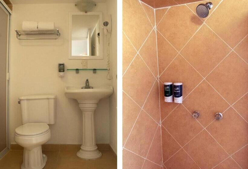 ２ダブルベッドのスタンダードルーム, Biohotel Metepec
