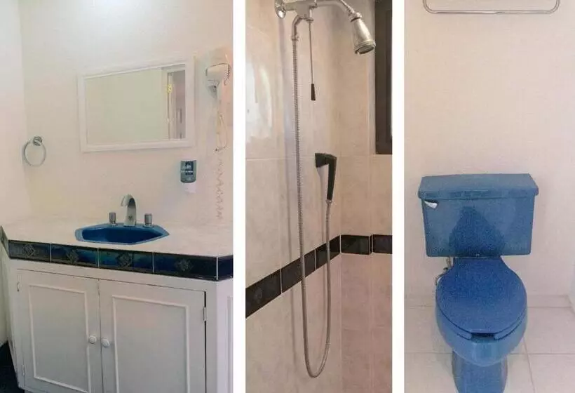 Junior Suite, Biohotel Metepec