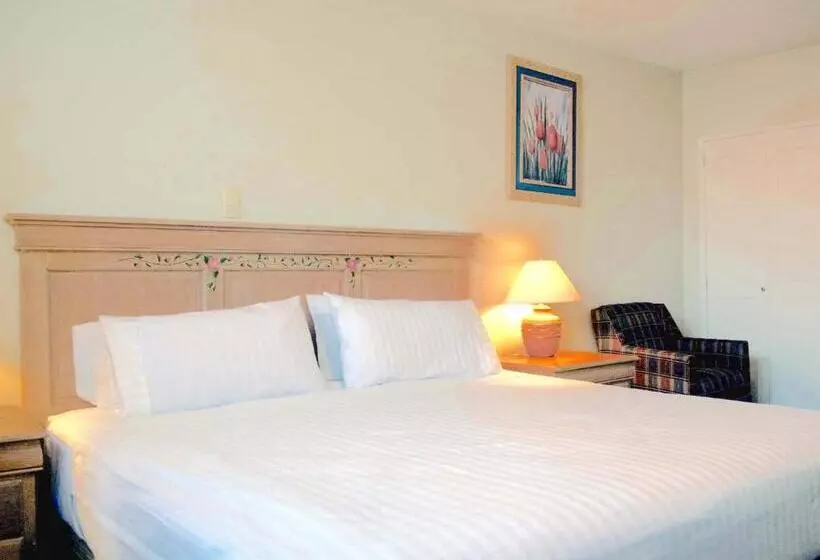 Junior Suite, Biohotel Metepec