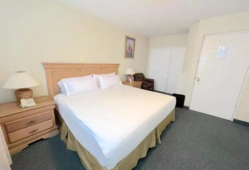Junior Suite, Biohotel Metepec