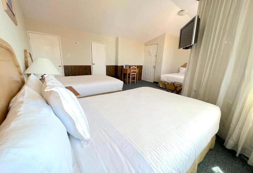 Номер Стандарт Трехместный, Biohotel Metepec