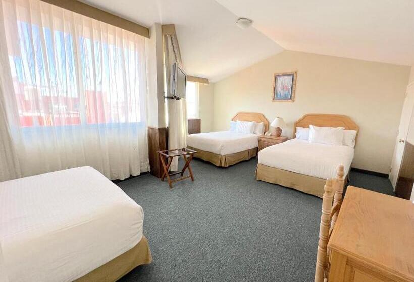 Номер Стандарт Трехместный, Biohotel Metepec