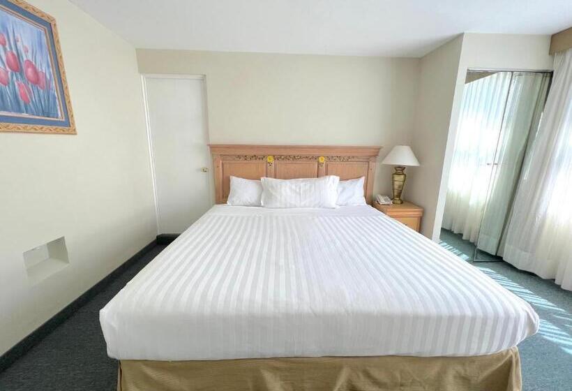 Номер Deluxe Кровать Кинг, Biohotel Metepec