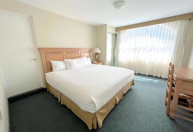 Номер Deluxe Кровать Кинг, Biohotel Metepec