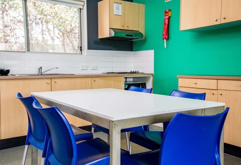 Апартаменты 1 Спальня, Griffith University Village