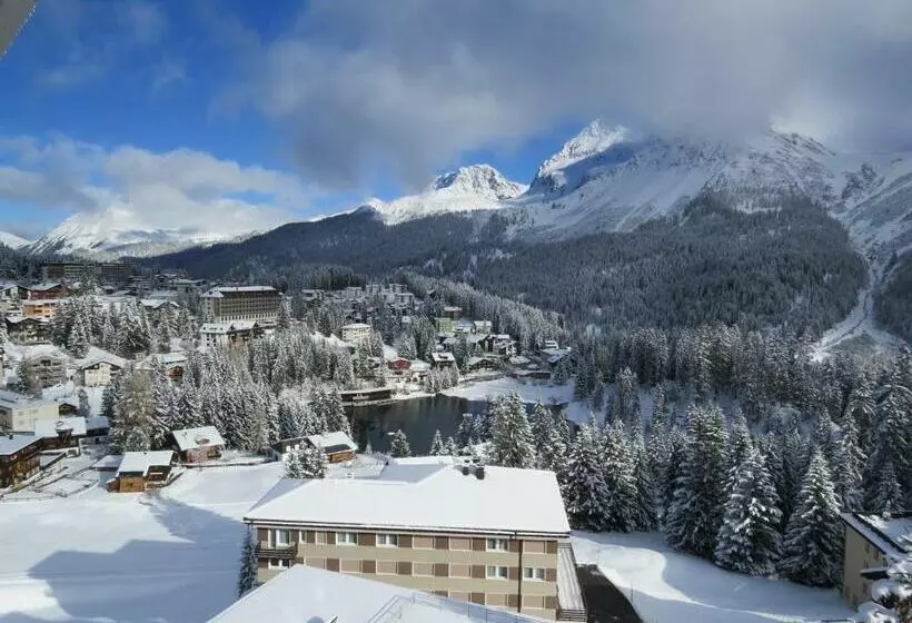 استودیوی استاندارد, Hof Arosa