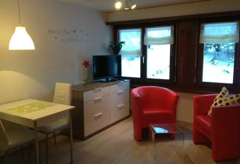 استودیوی استاندارد, Hof Arosa