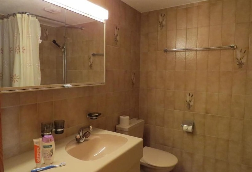 דירת חדר עם טרסה, Hof Arosa