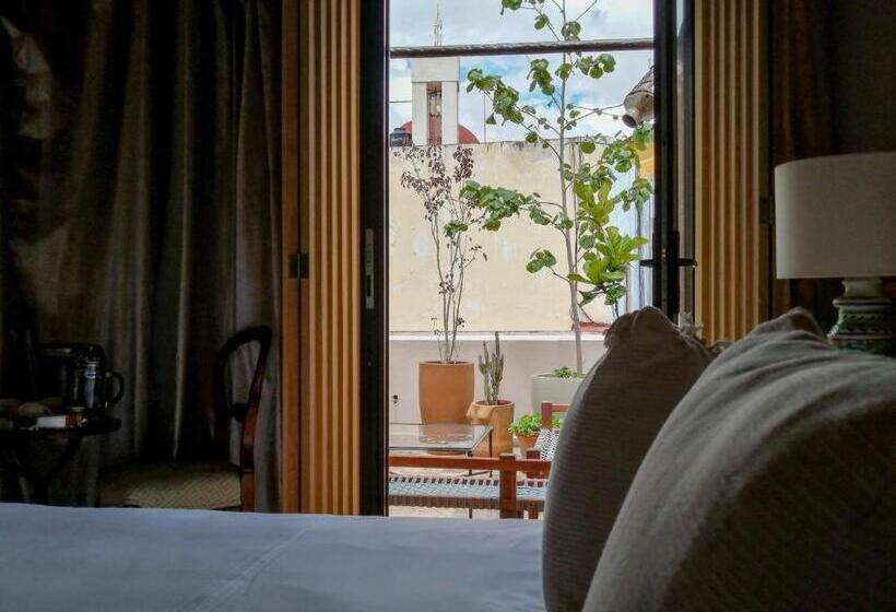 テラス付スイート, Casona Alonso 10  Hotelito Mexicano