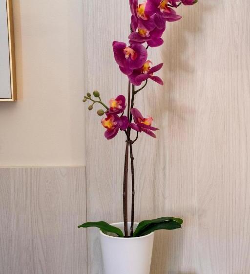 חדר סטנדרט לארבעה, Feudogrande Bio Relais