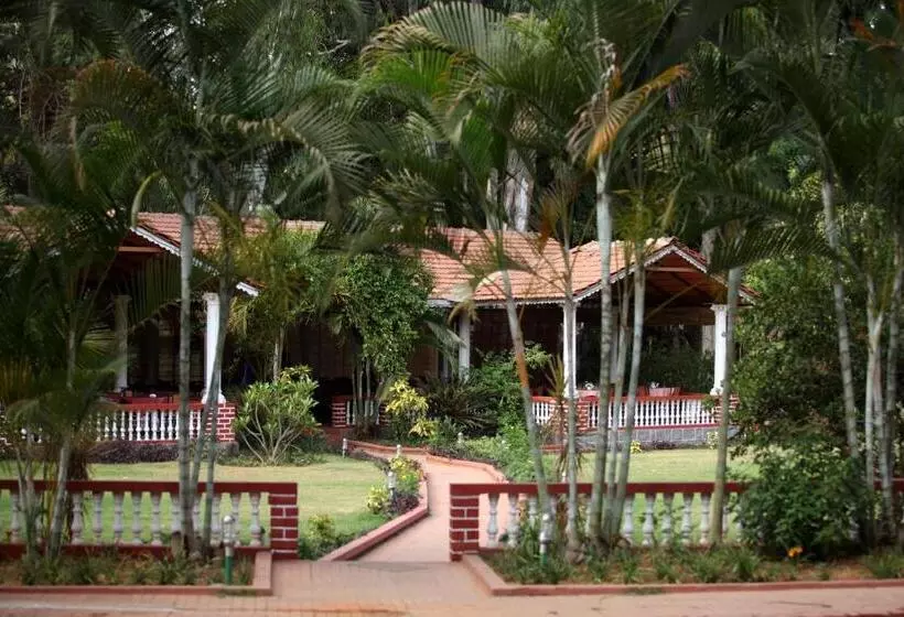 Executive-sviitti, Radiant Resort