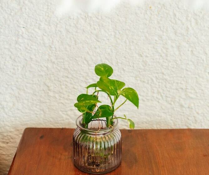 Номер Superior Вид на Море, Ventanas Al Mar   Adults Only