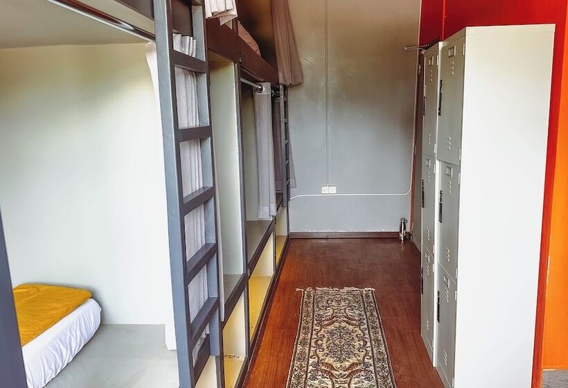ルームシェアのワンベッド, Arch Dormitorio Cenang Hostel