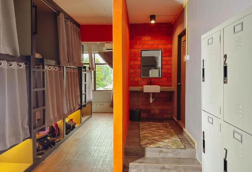 Кровать в Общей Комнате, Arch Dormitorio Cenang    Hostel