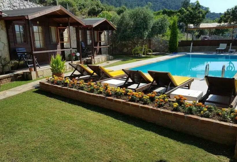 חדר סטנדרט נוף לבריכה, Onur Motel Faralya Fethi̇ye