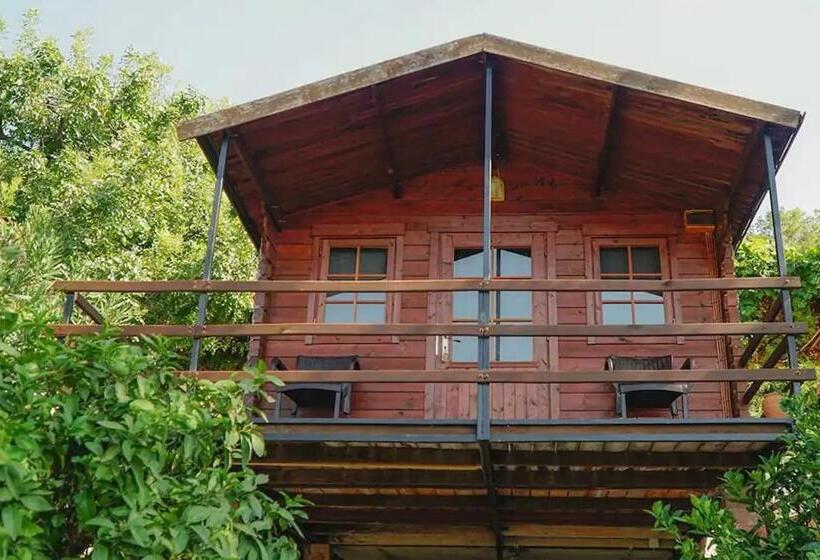 חדר סטנדרט נוף לים עם מרפסת, Onur Motel Faralya Fethi̇ye