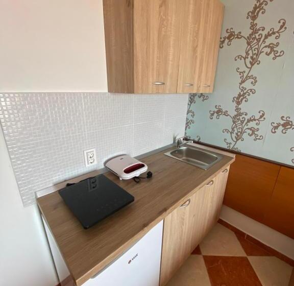 استودیو استاندارد با بالکن, Guesthouse Villa Gaga