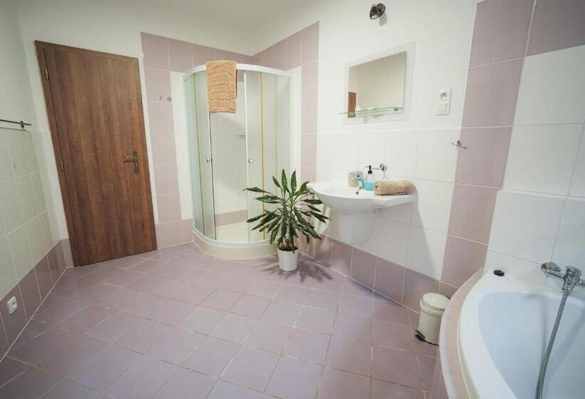 Escritório Deluxe, Pension štěpán