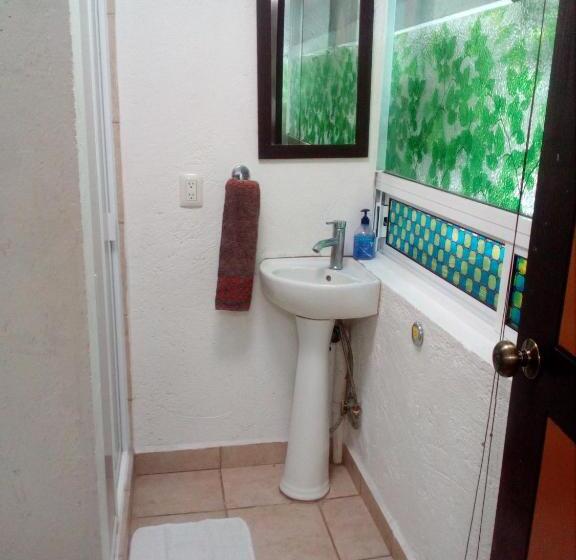 اتاق لوکس, Hostal Cuija Coyoacán