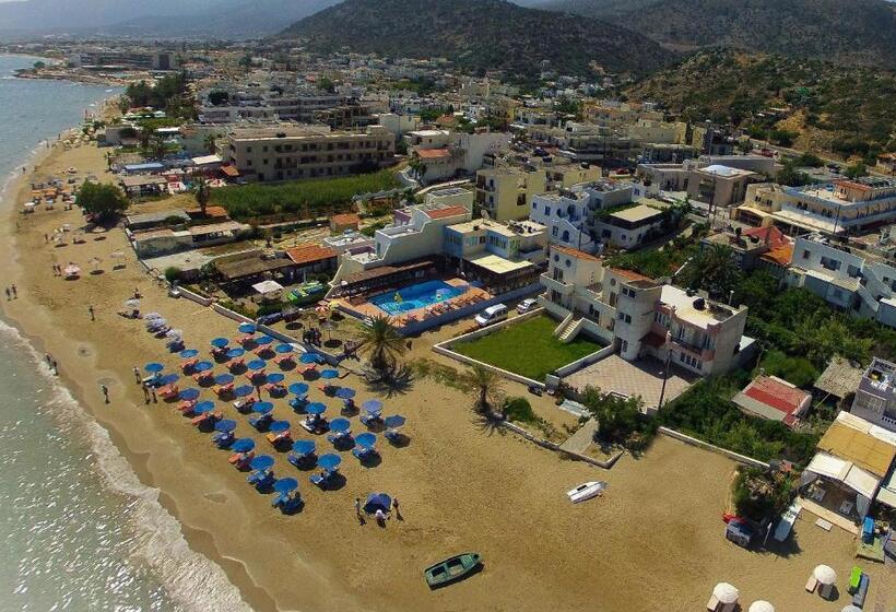 スタンダードシングルルーム, Stalis