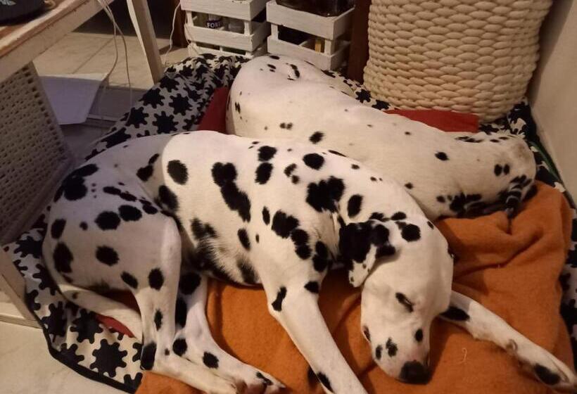 Номер Стандарт с Балконом, Landhotel Panorama