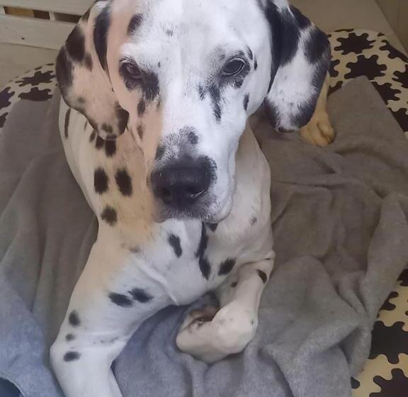 Семейный Номер, Landhotel Panorama