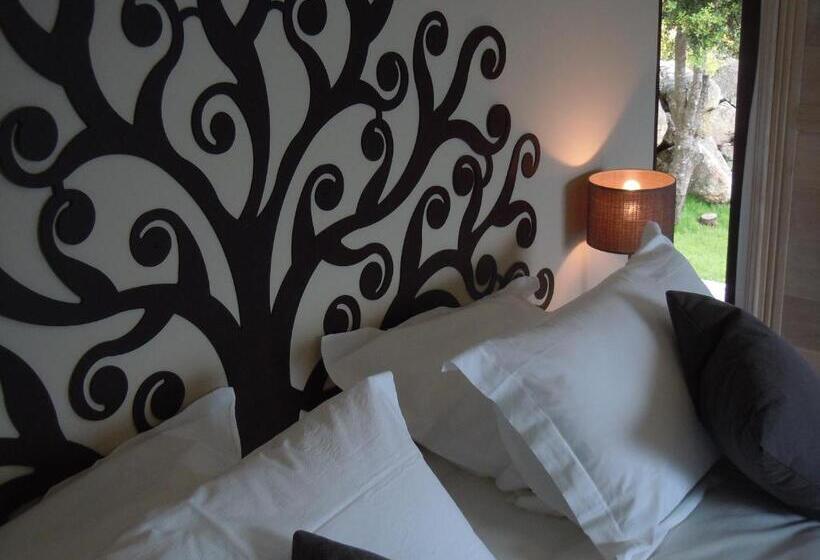 スーペリアールーム, A Piattatella